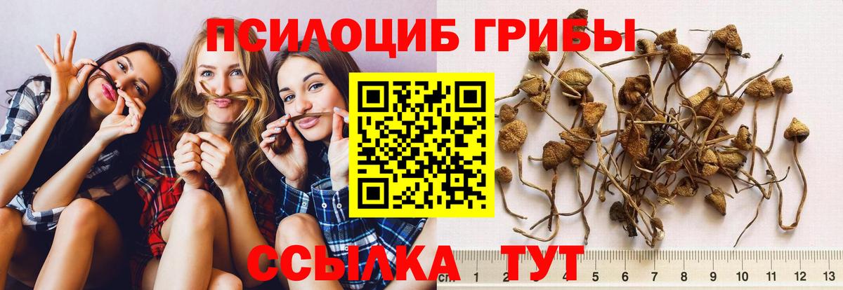 Галлюциногенные грибы ЛСД Рубцовск